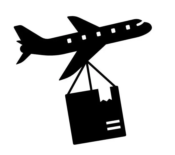 AIR SHIPPING ICON HipStar AIR freight upgrade - Image 1