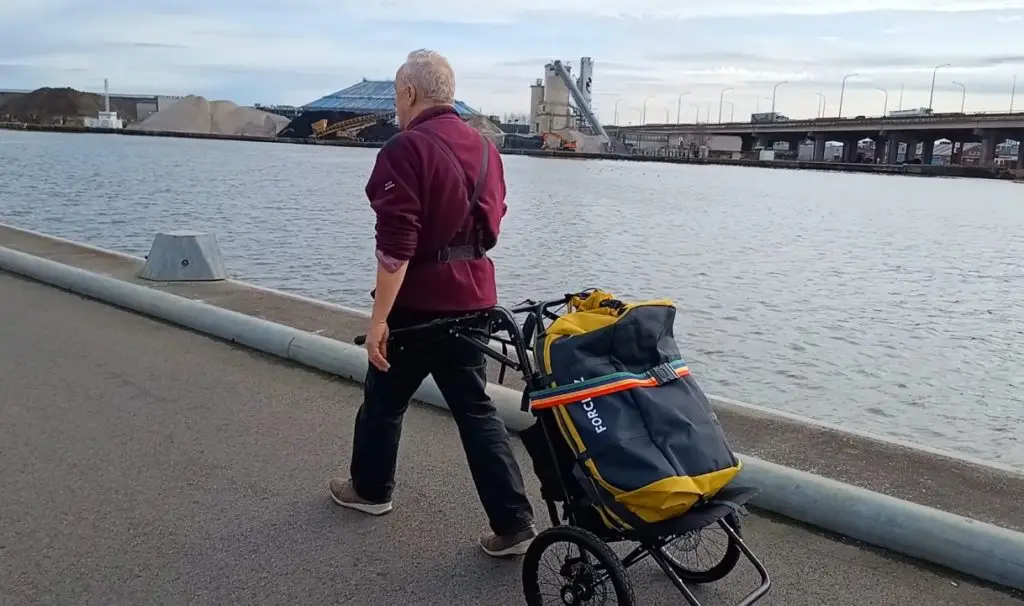 Herman image